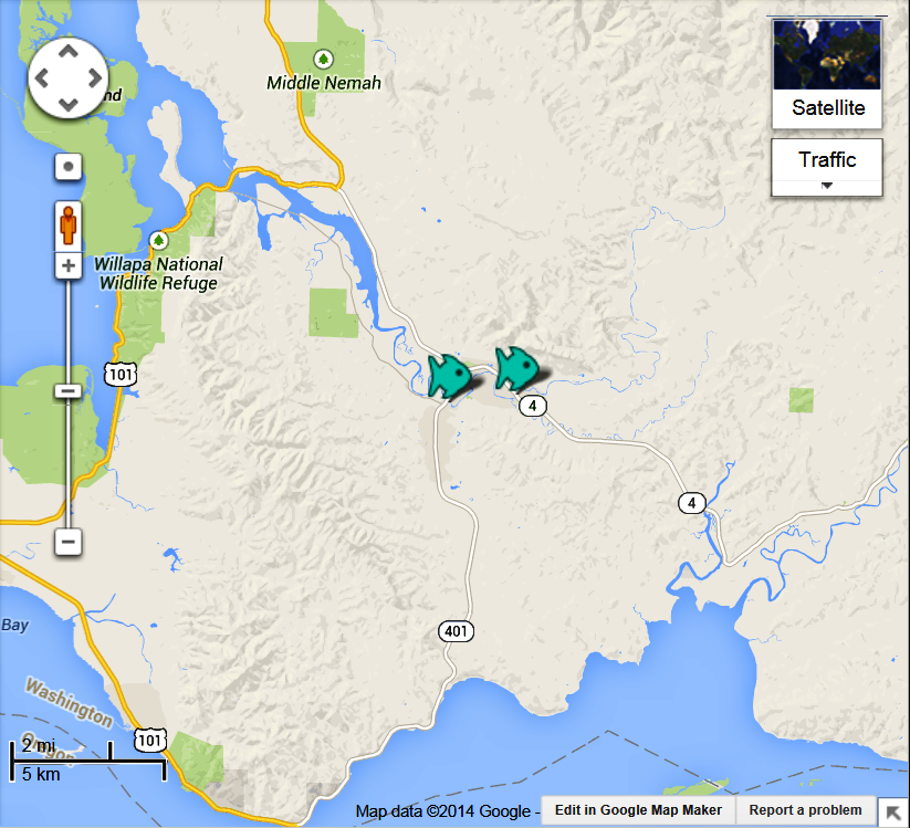 Naselle River Fishing Access Nasselle Fishing Reports