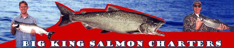 big king salmon charters