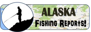 Alaska Fishing Reports 
