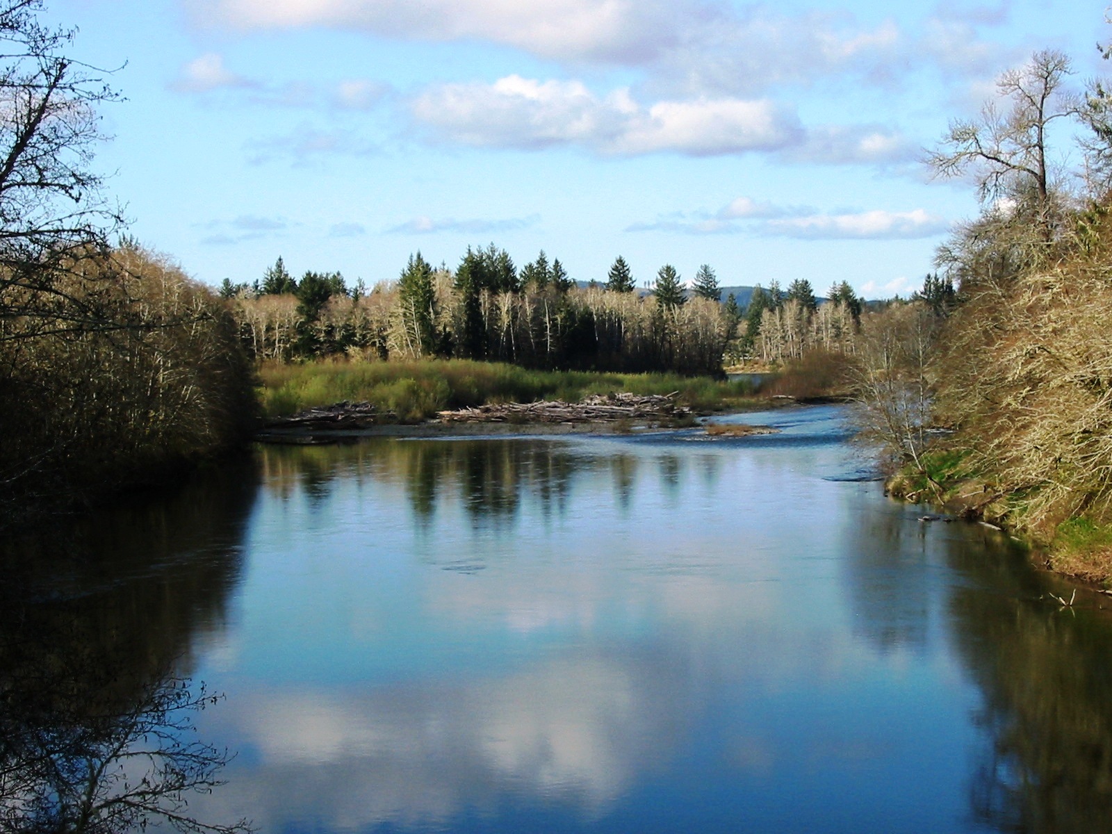 Bogachiel River Fishing | Fishing Reports | Maps