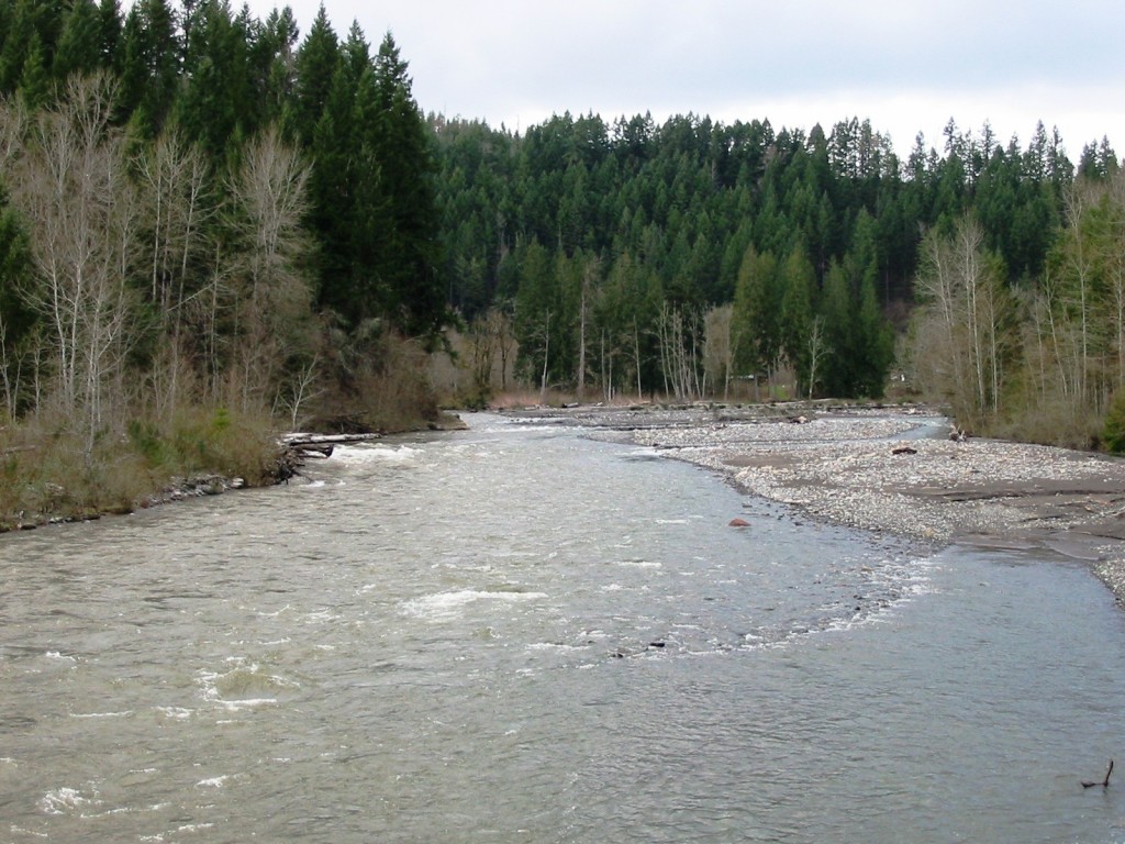 Carbon River Orting, WA 