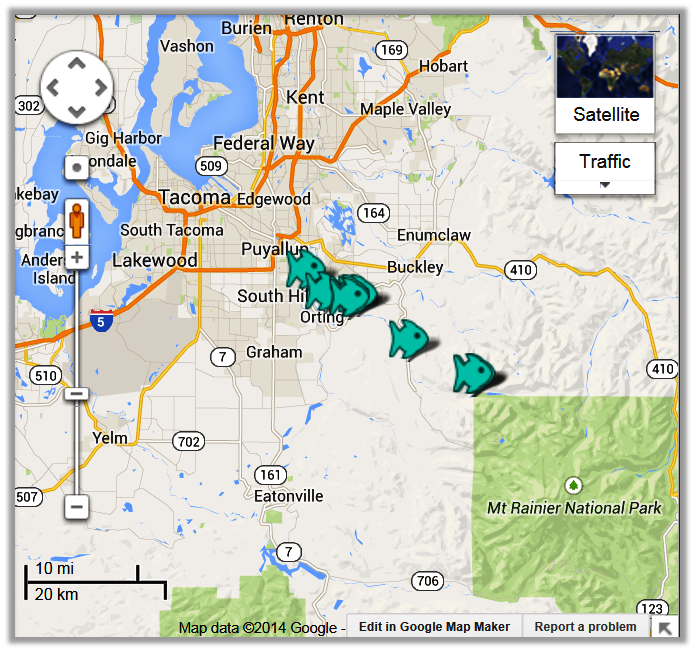 Carbon River Fishing Access | Fishing Reports | Maps