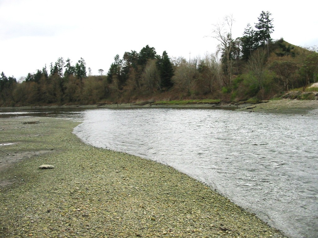 Chambers Creek (3)
