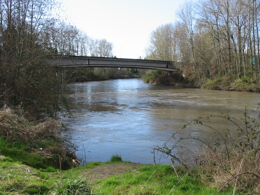 Photo of Puyallup River behind the courthouse