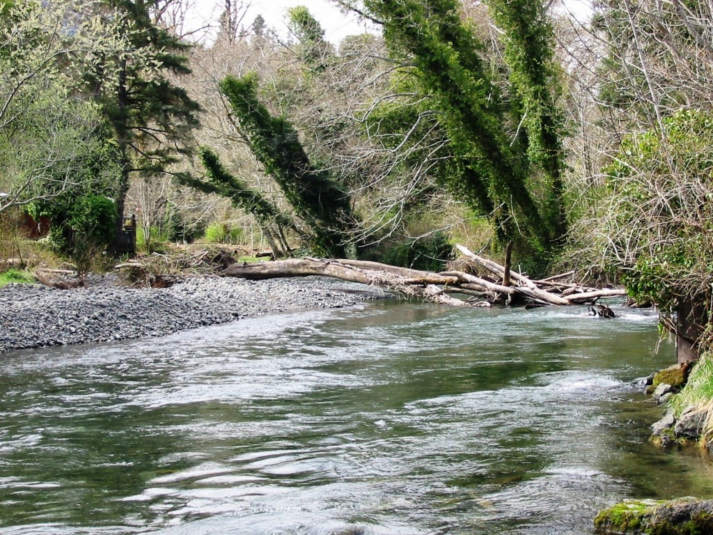 Photo of Quilcene River On Roger Street Side. 
