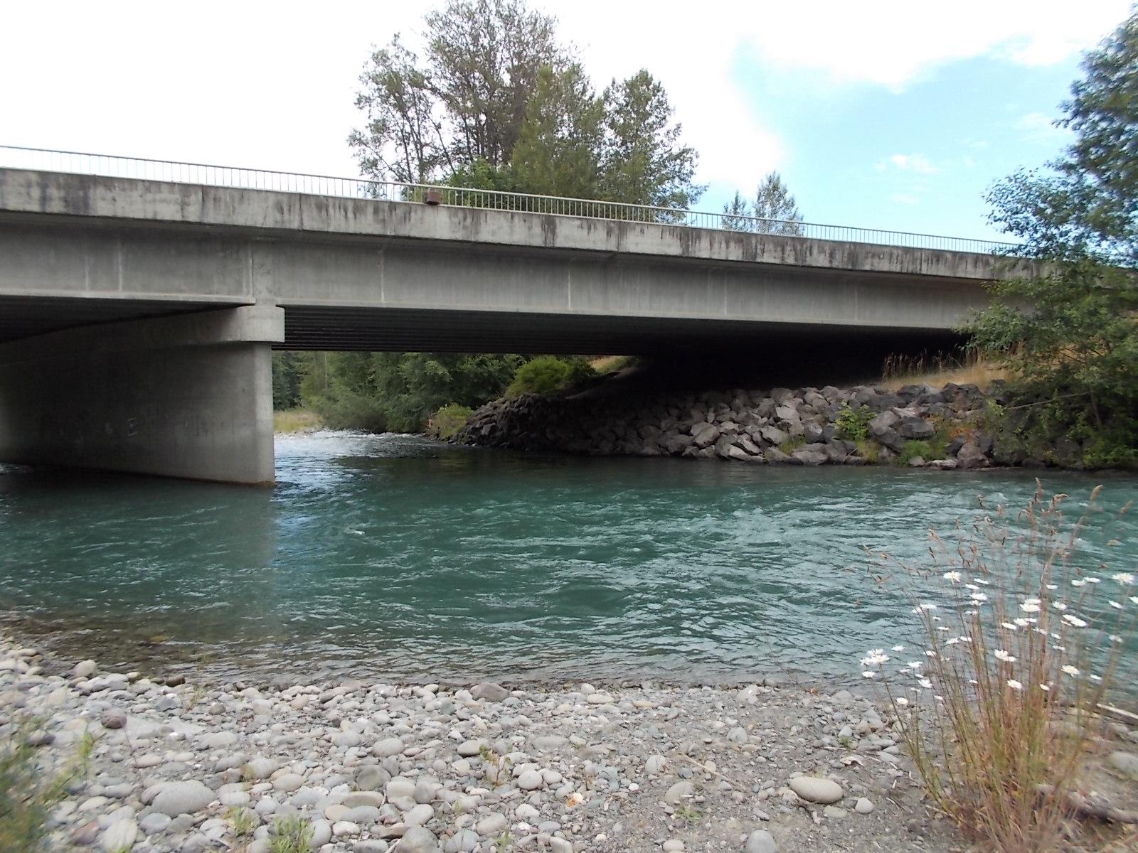 Dungeness River Fishing Access Maps Fishing Reports