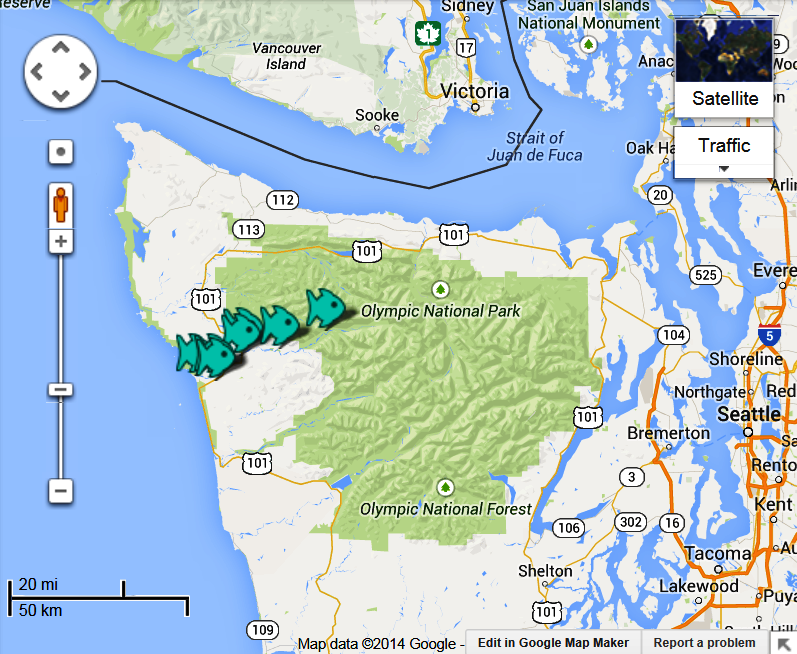 Hoh River The Lunkers Guide