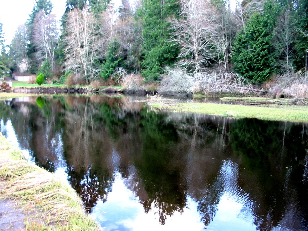 Photo of Minter Creek 