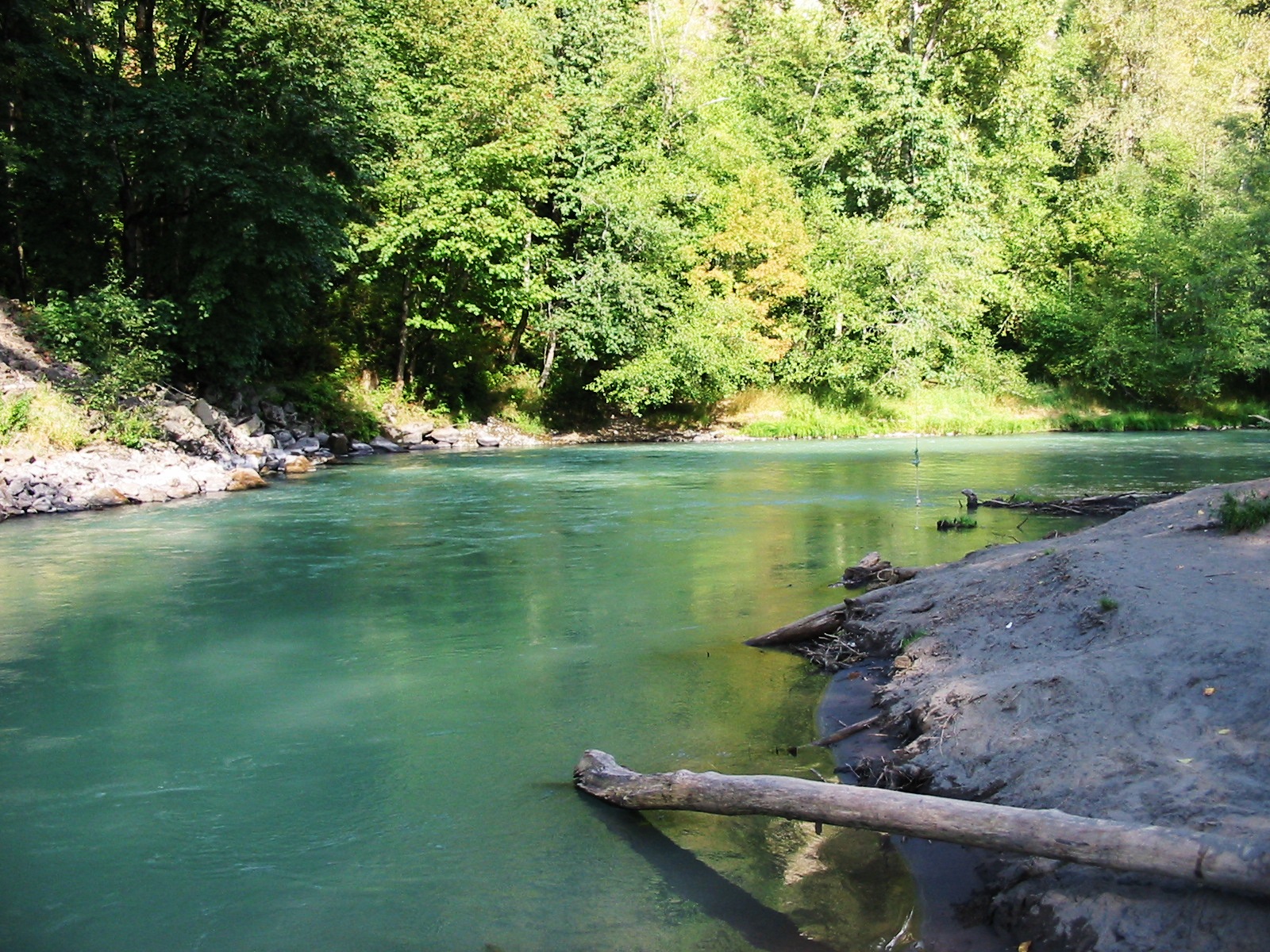 Nisqually River at a favorite Lunker location.