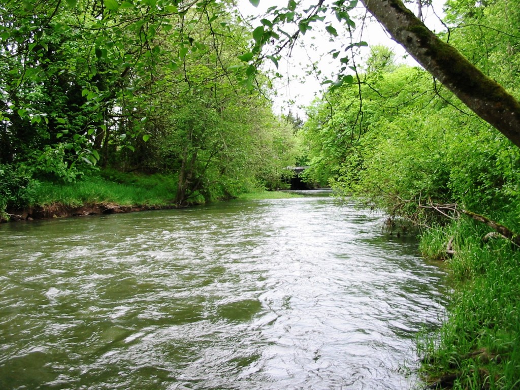 Skookumchuck River in Centrailia , WA
