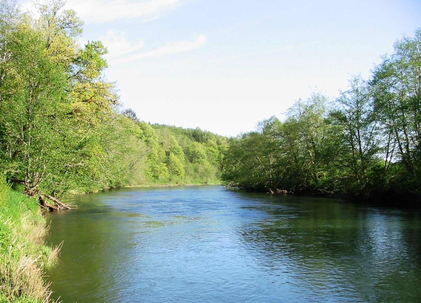 Wynoochee River fishing access | Fishing Reports