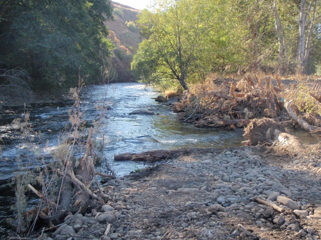 Walla Walla River - The Lunkers Guide