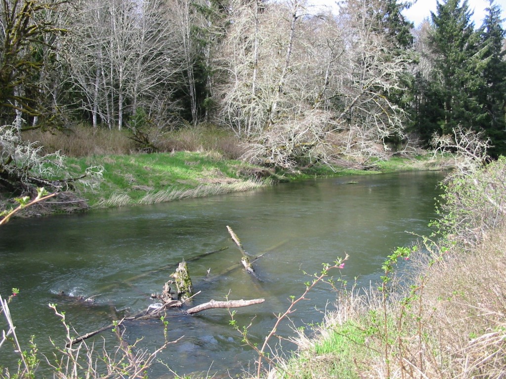 Hoko River from Hoko Ozzette Rd. 