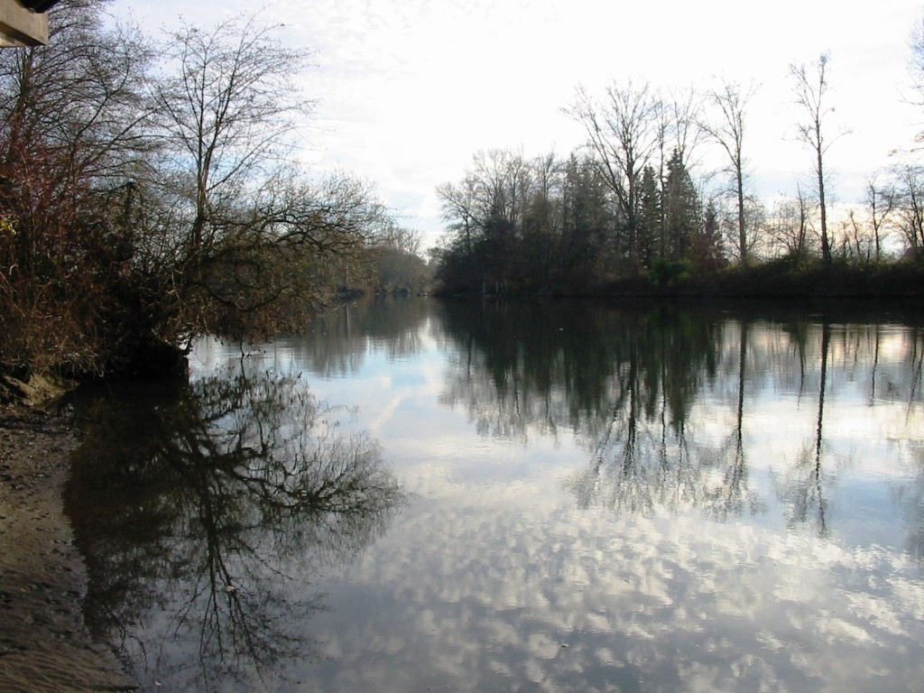 Photo of the Skagit River 