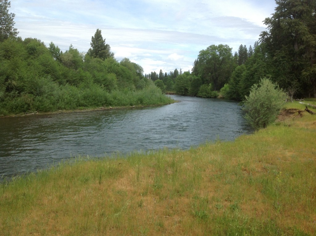 Photo of the Rogue River at a favorite Lunker Location.