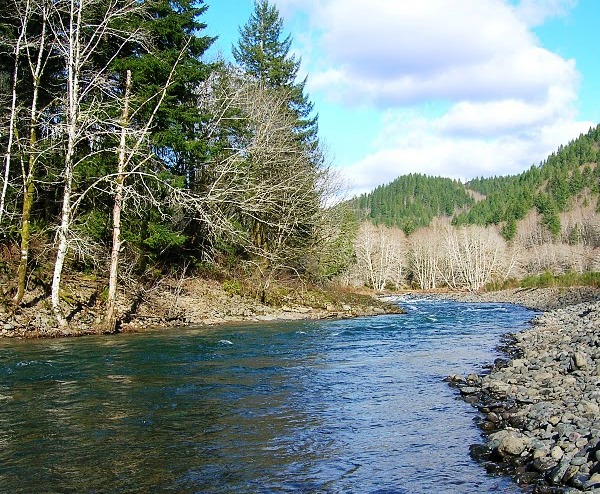 Photo of the Wilson River 
