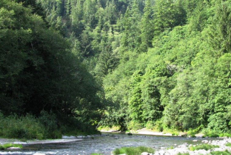 Photo of the Trask River 