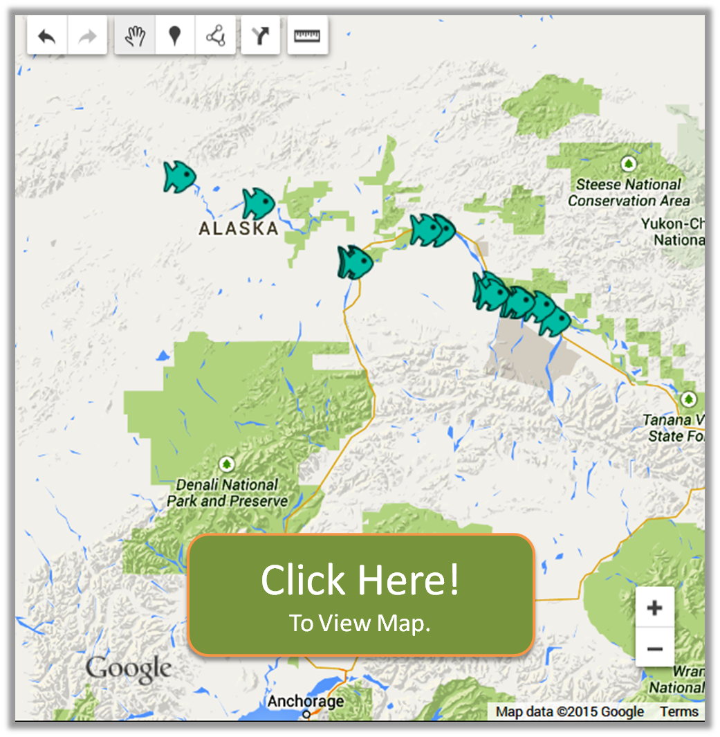 Tanana River Fishing Access Tanana Fishing Reports