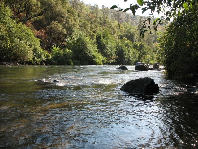 Photo of Mokelumne River. Photo by Ken Harker 