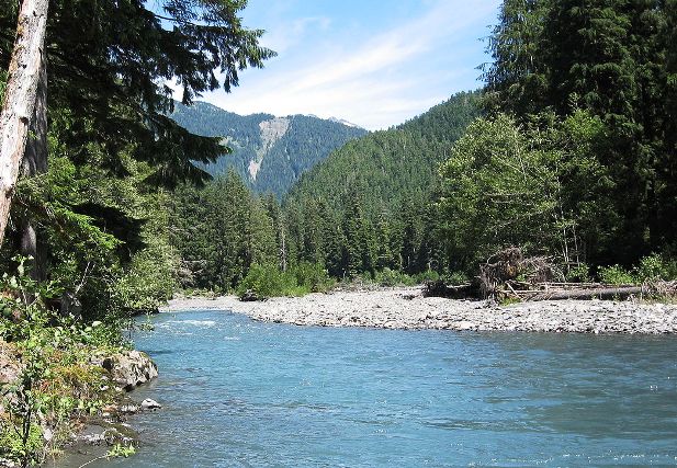 Queets river in Jefferson County. 