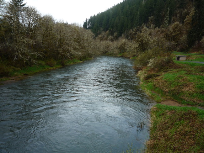 Alsea River Fishing Access Alsea Fishing Reports