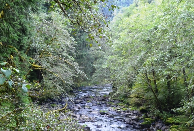 Three River off of Three River HWY