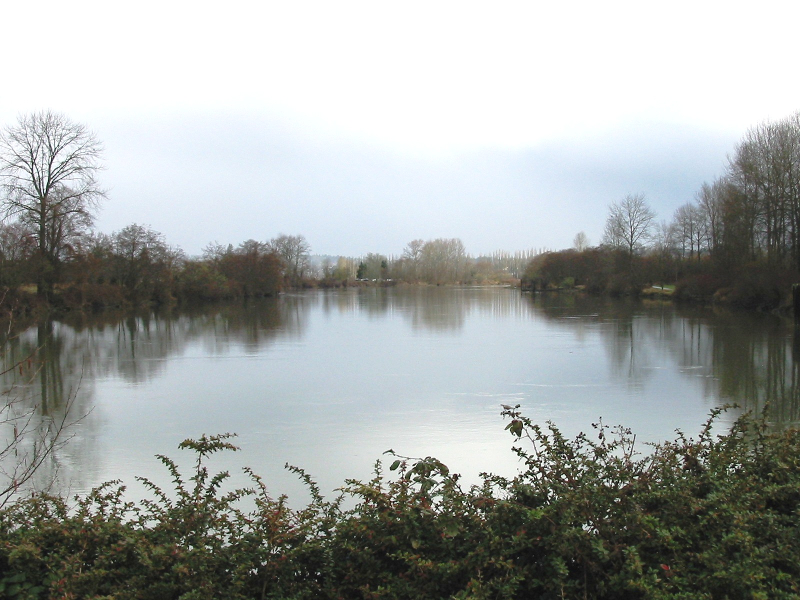 2016 Snohomish River Fishing Report The Lunkers Guide