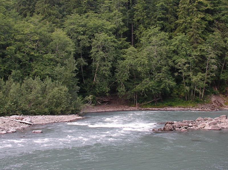 hoh-river