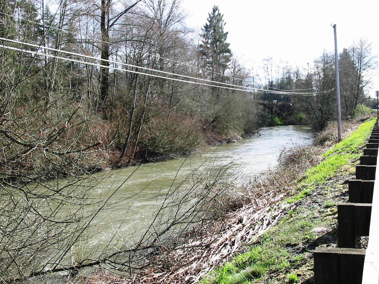 2017 Samish River Fishing Report The Lunkers Guide