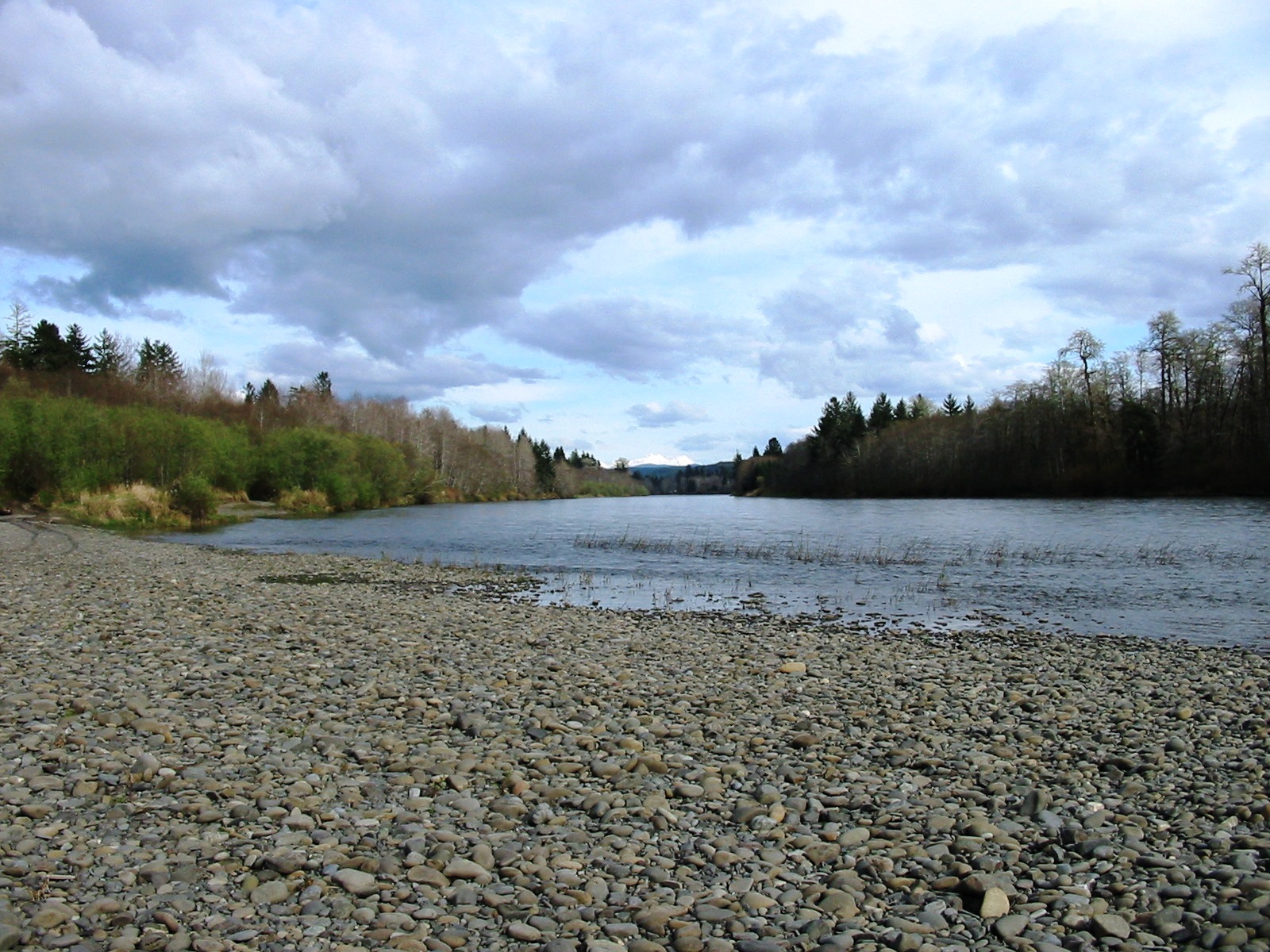 2017 Quillayute River Fishing Report - The Lunkers Guide