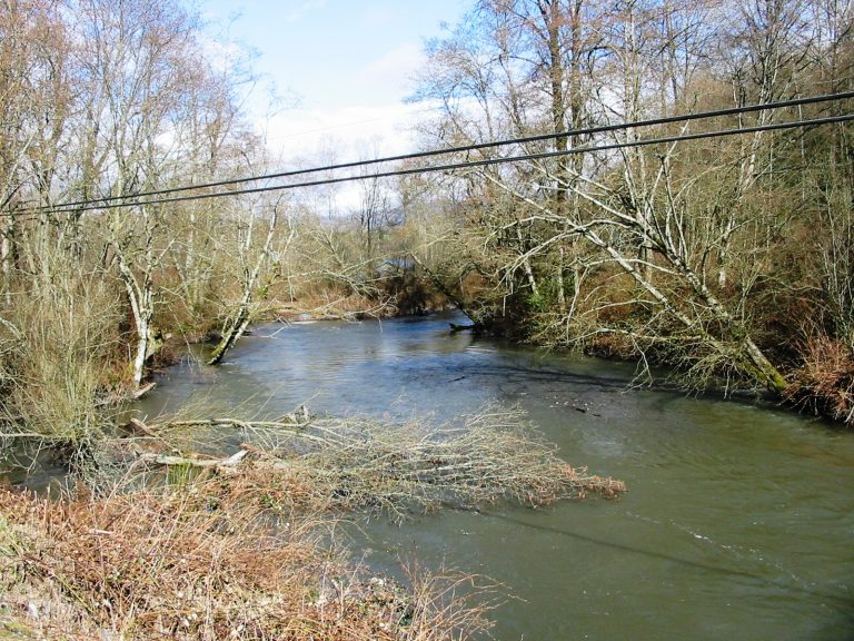 Samish River (7) - The Lunkers Guide