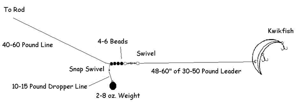 Back Bouncing Setup The Lunkers Guide 