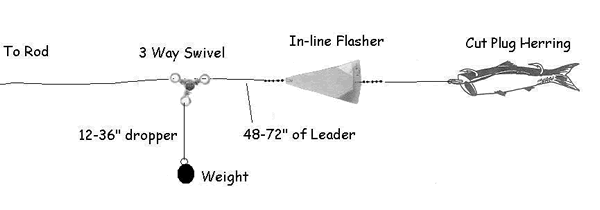 Willamette River Spring Chinook Fishing Tactics ...