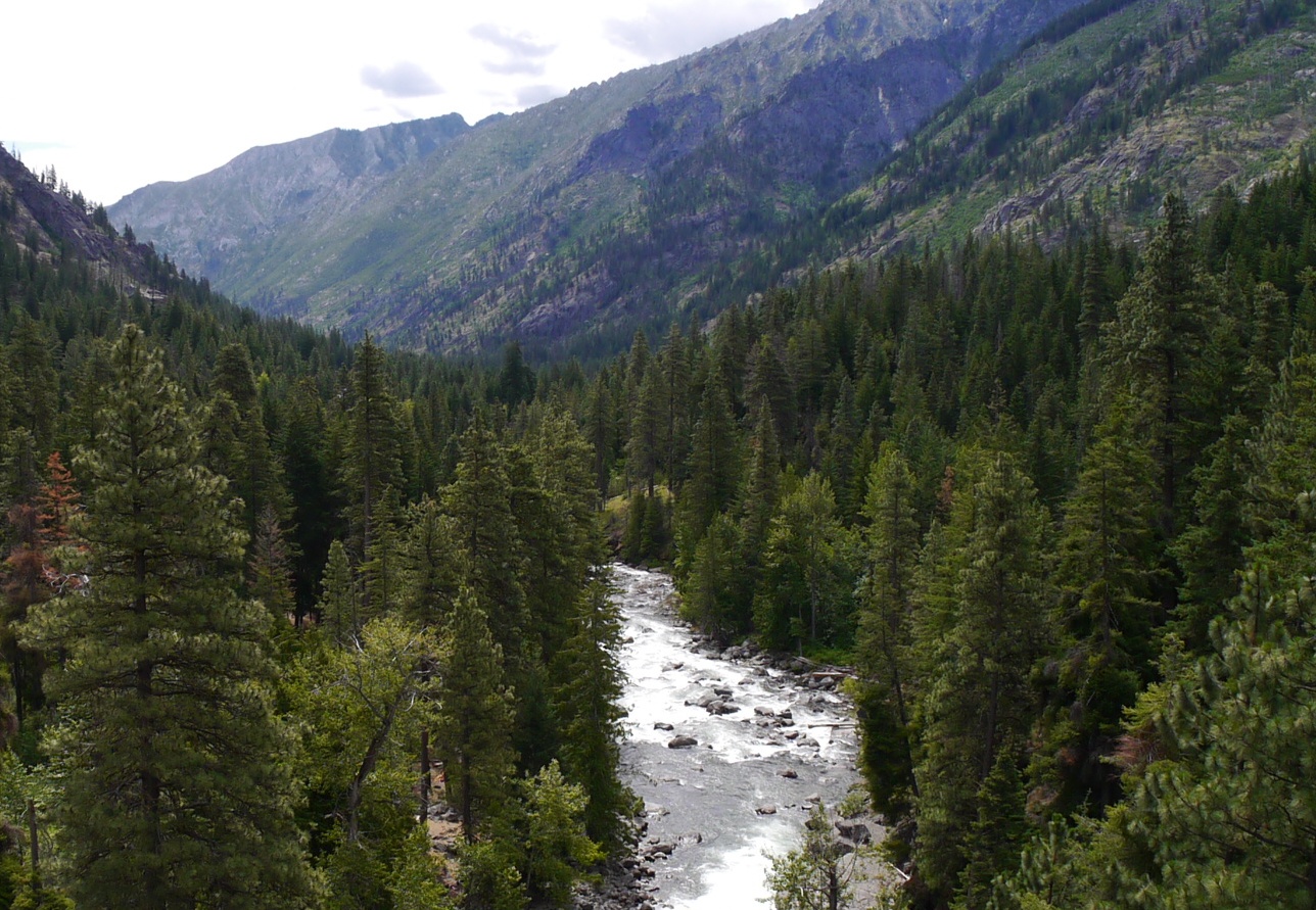 Isicle Ridge River Icicle River near Bridge Creek Campground - The Lunkers Guide