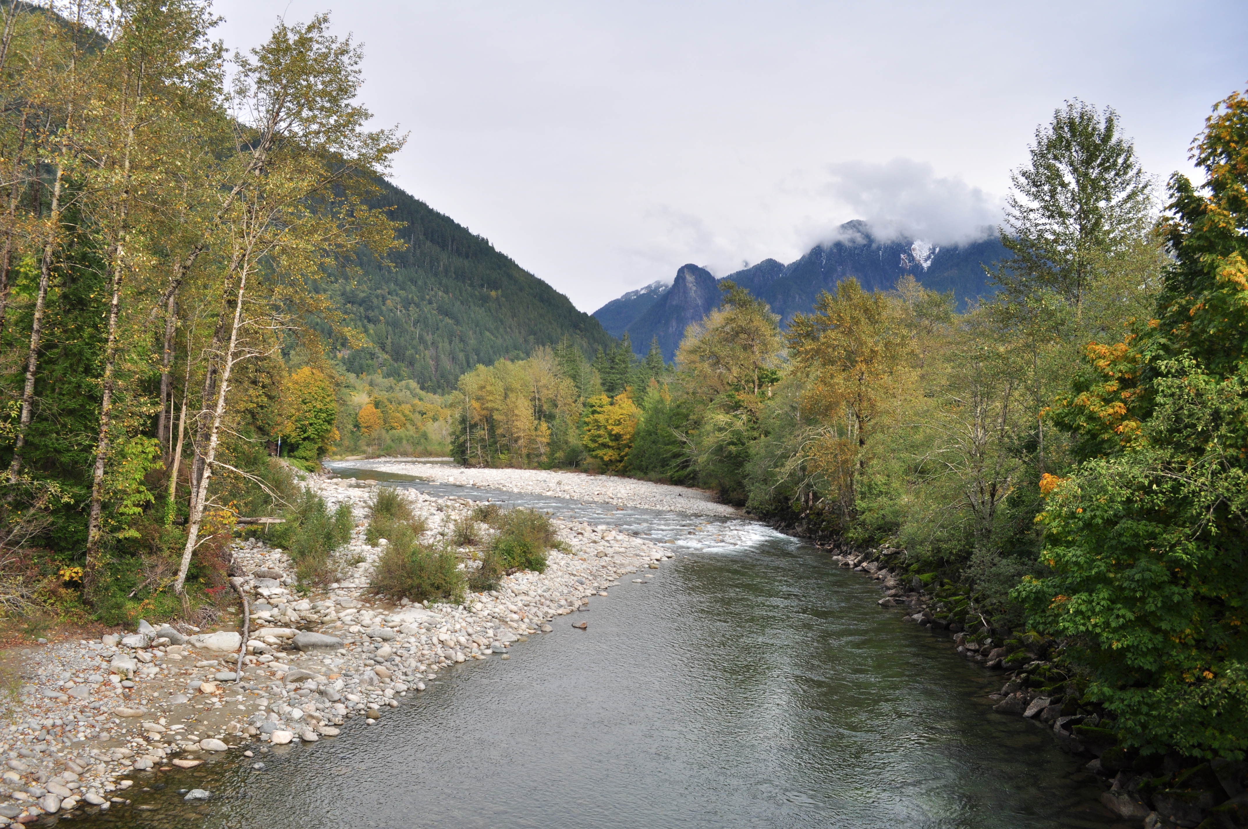 2019 Skykomish River Fishing Report The Lunkers Guide