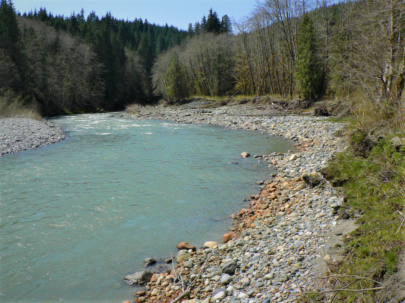 2019 Stillaguamish River Fishing Report The Lunkers Guide