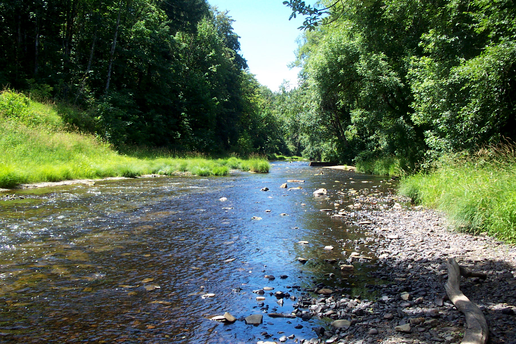 2019-nehalem-river-fishing-report-the-lunkers-guide